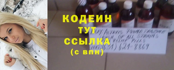 молекула духа Арсеньев