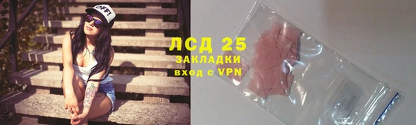 молекула духа Арсеньев