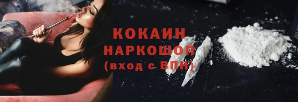 молекула духа Арсеньев