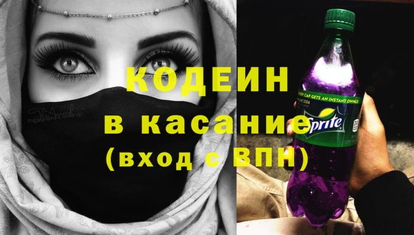молекула духа Арсеньев