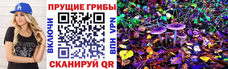 Галлюциногенные грибы Cubensis наркота Макарьев