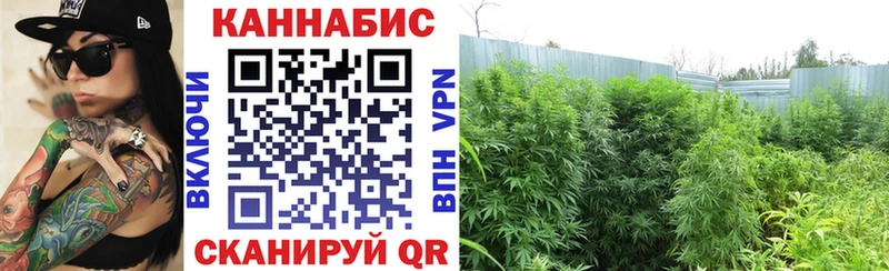 сайты даркнета телеграм  Макарьев  Марихуана Amnesia 